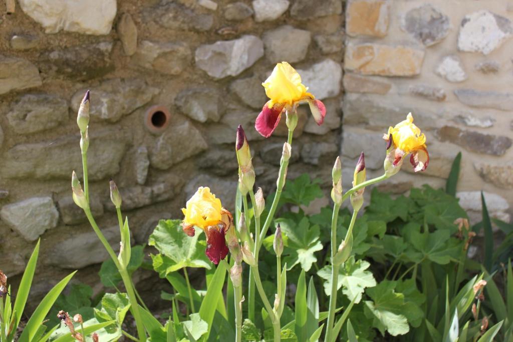 Vila Amour Provence Séguret Exteriér fotografie