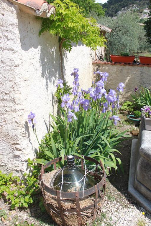 Vila Amour Provence Séguret Exteriér fotografie